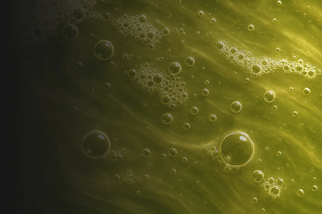 Avocado Oil